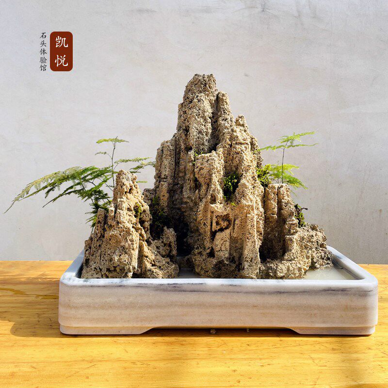 天然吸水石上水石大型假山盆景流水摆件真石头水秀石庭院鱼池造景