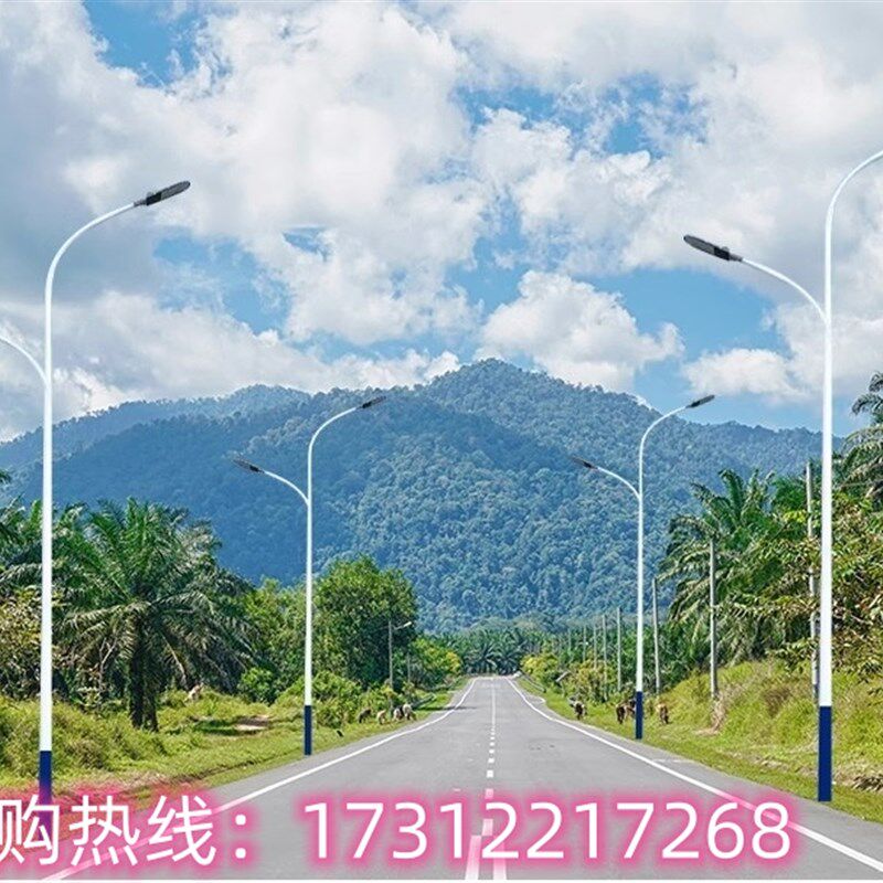 6米8米10米12米路灯双臂高杆灯农村道路灯LED户外灯广场灯路灯杆