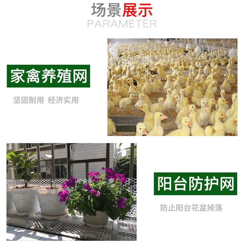 加厚阳台防护网塑料平网养鸡养殖网格片防猫网防坠网围栏隔离胶网