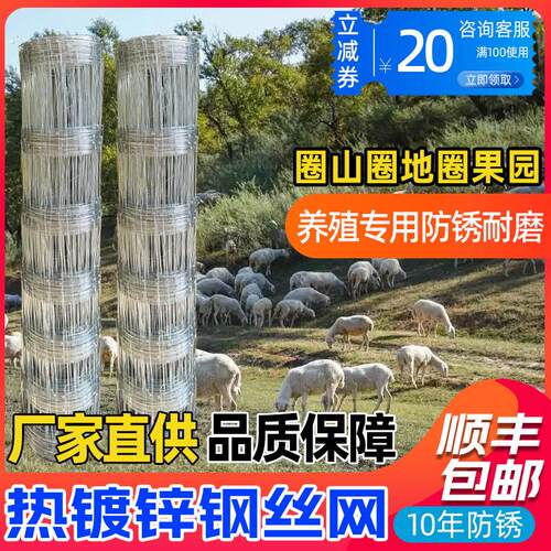 热浸镀锌铁丝网防锈牛栏网圈地钢丝网拦牛羊果园防护网养殖网围栏