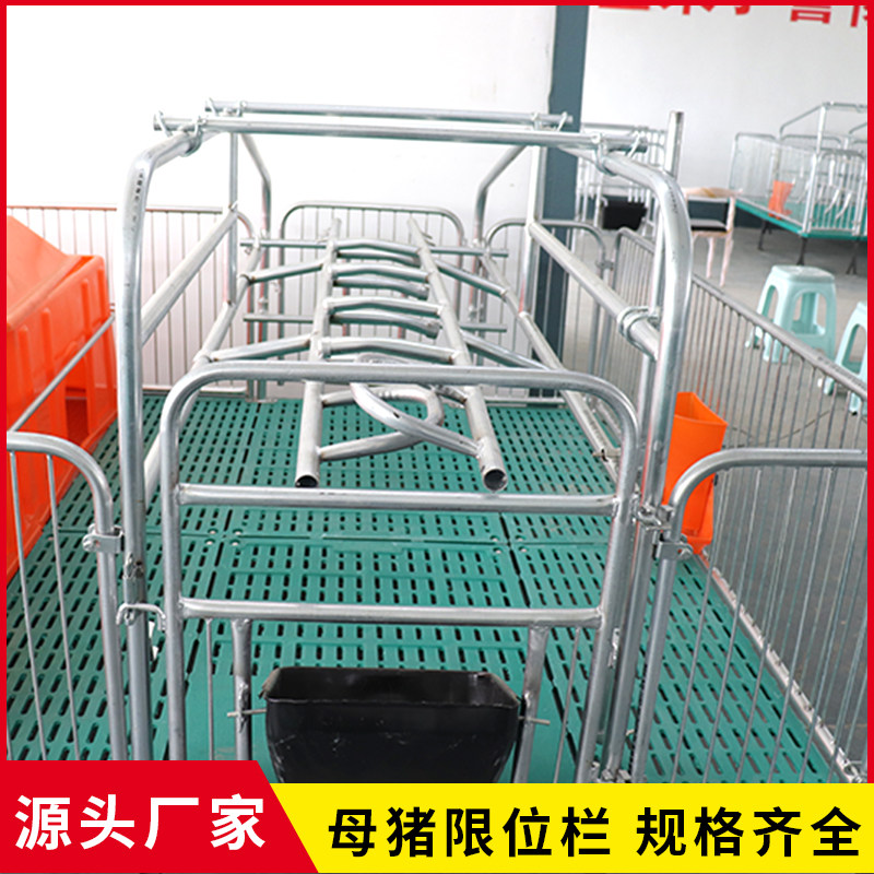 全复合母猪产床分娩床双体产保一体保育床养殖设备猪用单体产床