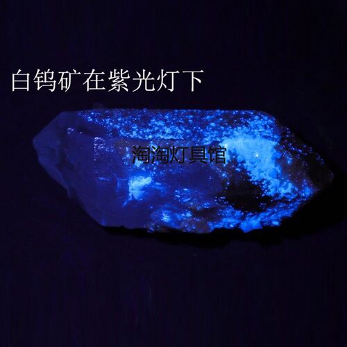 白钨紫光灯矿探矿灯 找白钨萤光紫光灯 254nm可充电探钨UV手电筒