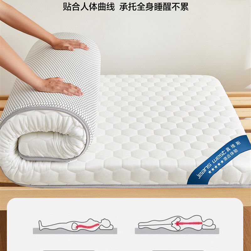 地板睡垫榻榻米棉垫家用床垫软垫防潮地板睡租赁专用垫宿舍