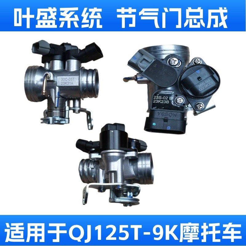 适用于钱江QJ125T-9K电喷摩托车配件叶盛节气门总成30C-05T传感器