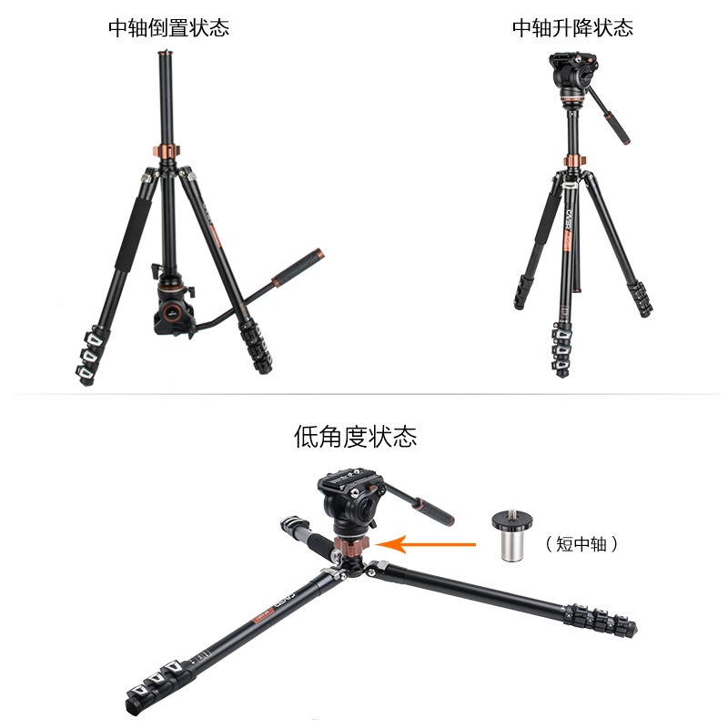 卡宴AF2451单反照相机三脚架液压云台套装手机微单摄影摄像机三角
