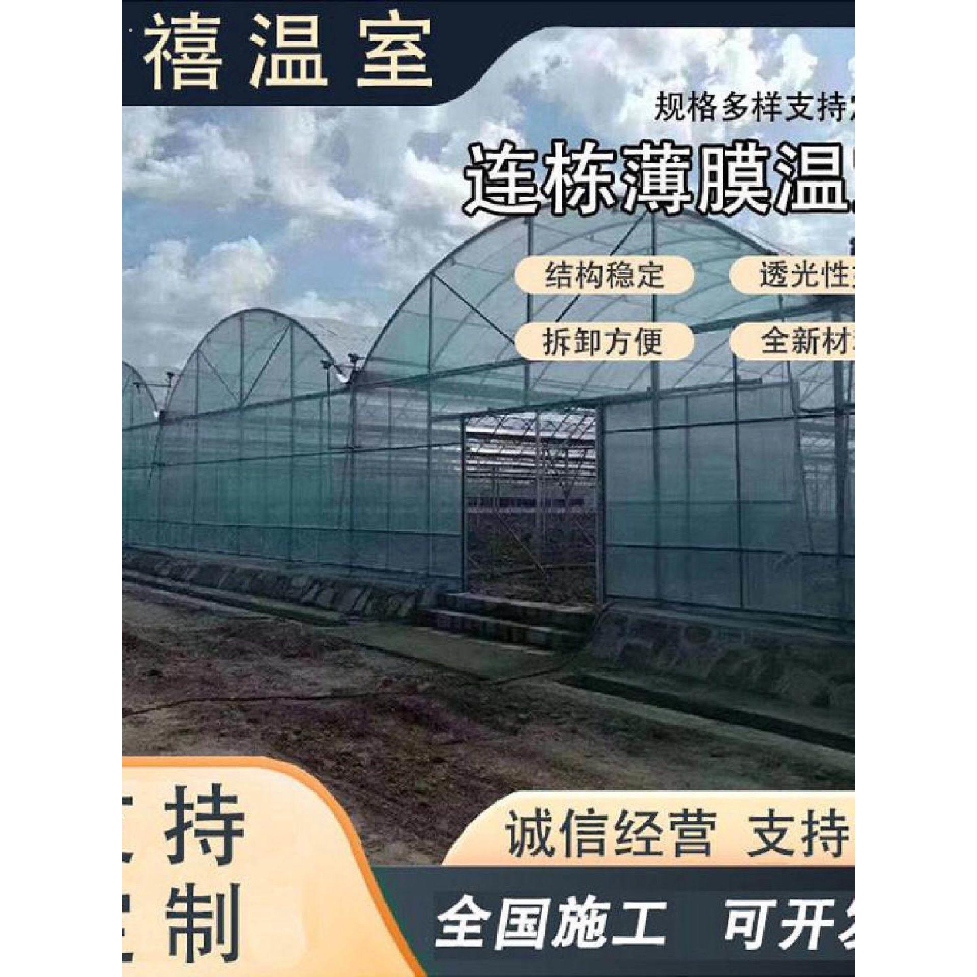 温室大棚蔬菜种植薄膜温室大棚钢管骨架安装连栋薄膜温室大棚