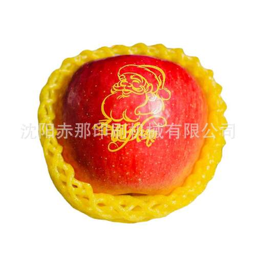 水果食品 苹果印字机 厂家 保修 橘子打字机 可以吃的油墨