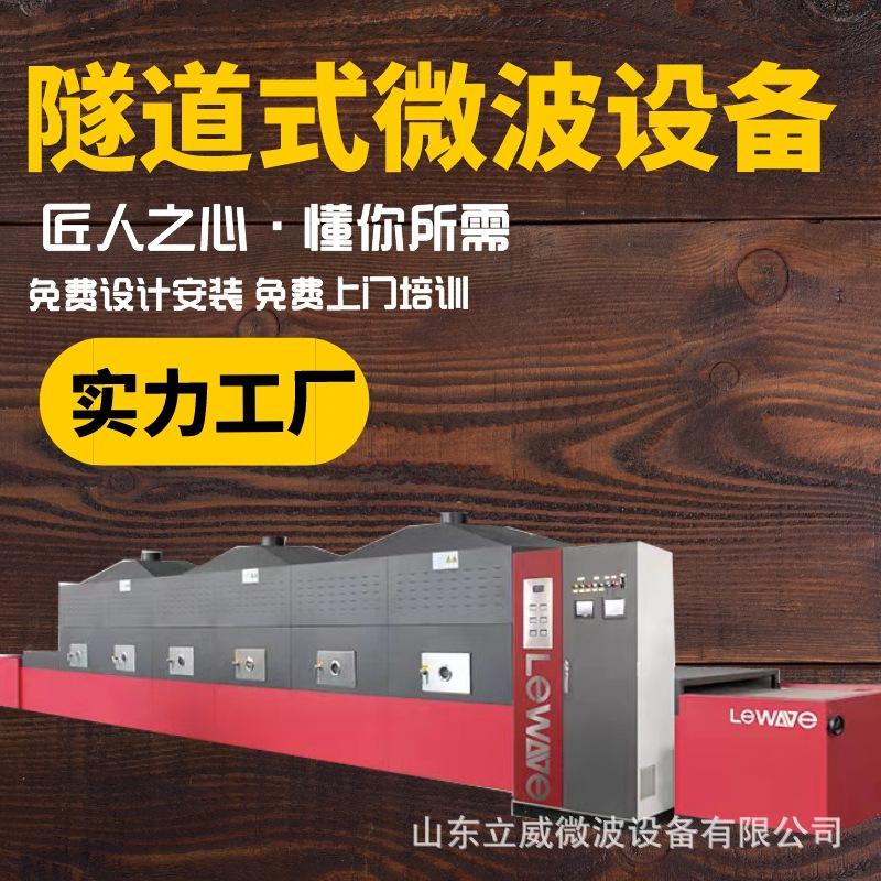 全自动LW30KW小型绿豆低温烘焙设备 微波花生熟化杀菌一体机