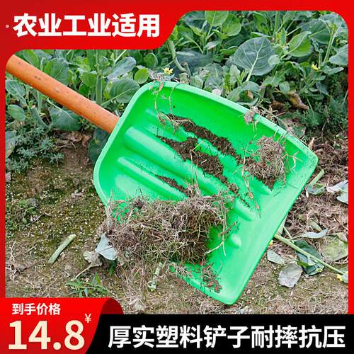 塑料锹加厚大号钢化塑料杴铲雪铲粮食清理垃圾大锹簸箕锹除雪工具