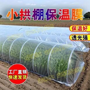 农用小拱棚专用膜保温膜大棚内膜二层膜种菜育苗防寒防风塑料薄膜