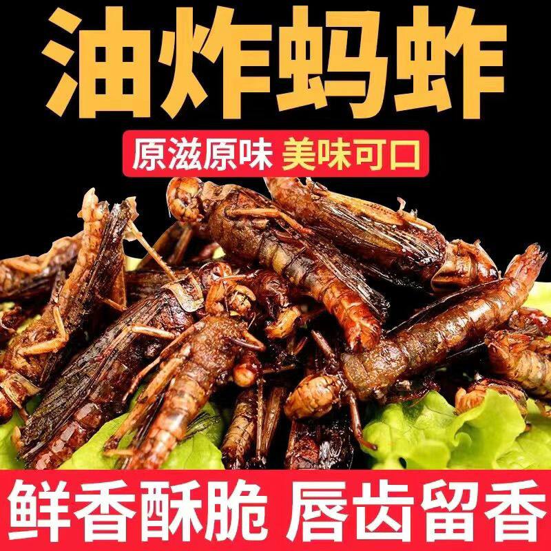 香酥炸蚂蚱夜市美食昆虫小零食