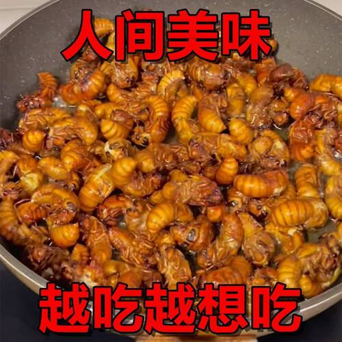 香酥炸金蝉知了猴下酒菜山东特产
