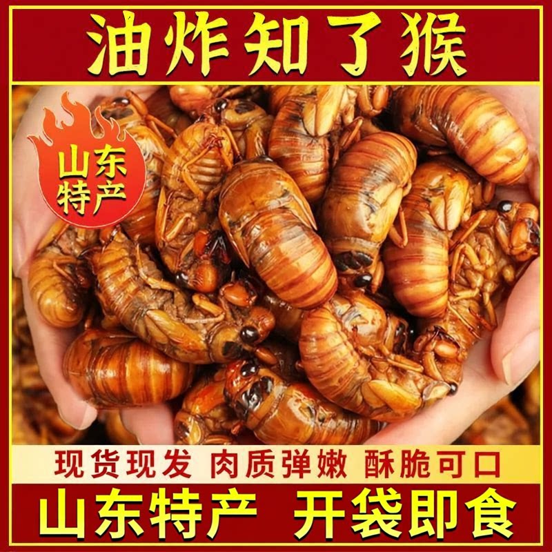 香酥炸金蝉知了猴下酒菜山东特产