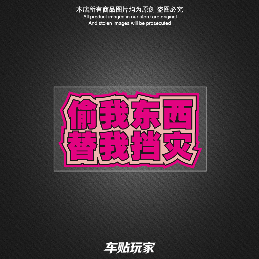 偷我东西替我挡灾车贴防水贴花