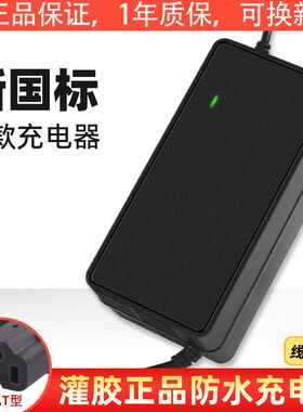 适用于圣宝龙30AH电动车电瓶充电器48v12ah60v20ah72v三轮车通用