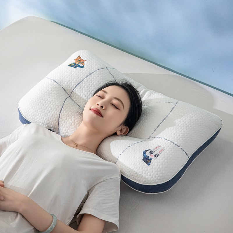 a类卡通儿童定型枕头护颈椎助睡眠单人学生专用分区枕芯四季通用