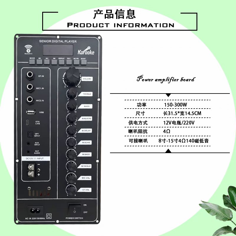 大功率DSP蓝牙功放板12V电瓶220V充电大功率主板改装组装音响配件