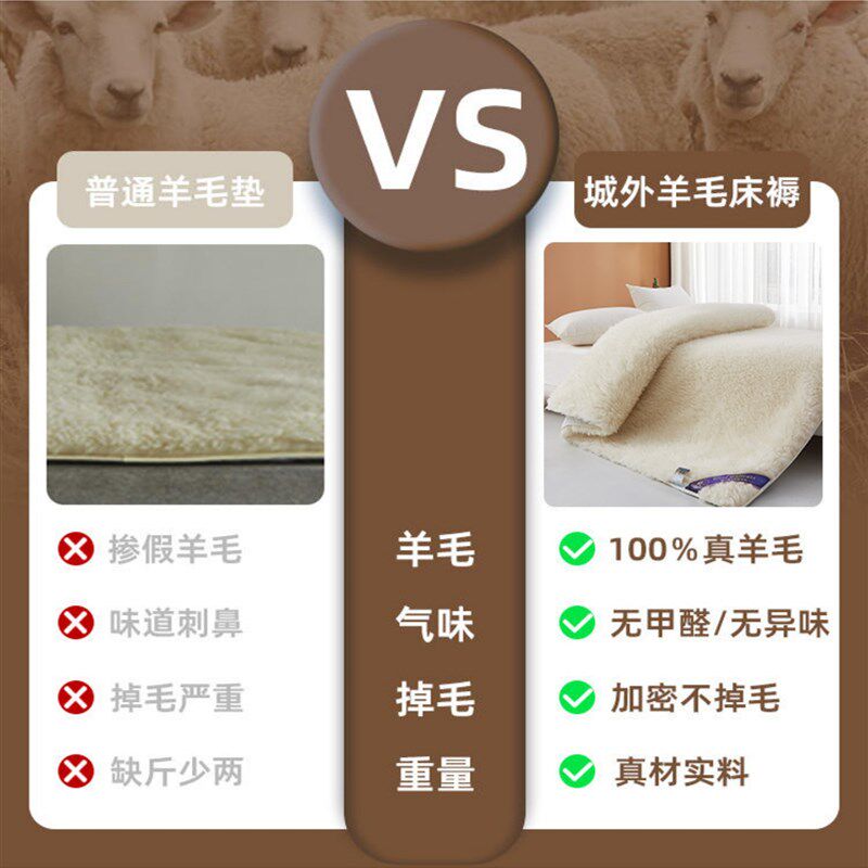 100%进口澳洲羊毛床垫软垫冬季床褥子加厚单人冬天保暖羊羔绒垫子