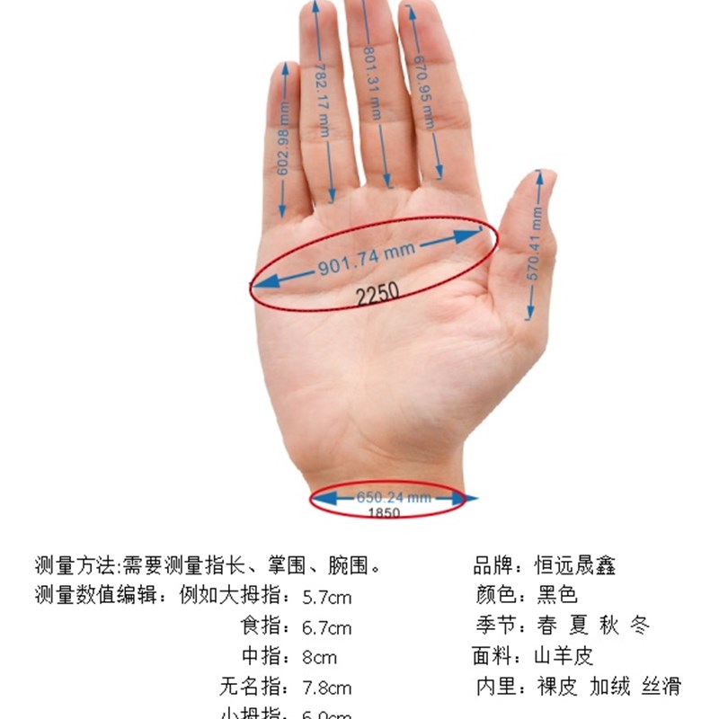 秋冬新款真皮可量手订做男/女士真皮保暖款触屏羊皮手套机车