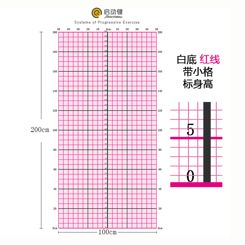 新版多色网格线体姿图体态评估背景墙贴纸健身姿势对比测量表壁画