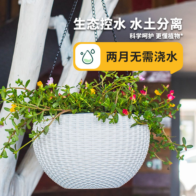 吊蓝吊盆悬挂吊挂自动吸水植物吊兰绿萝球兰养花挂式花盆吊篮挂盆