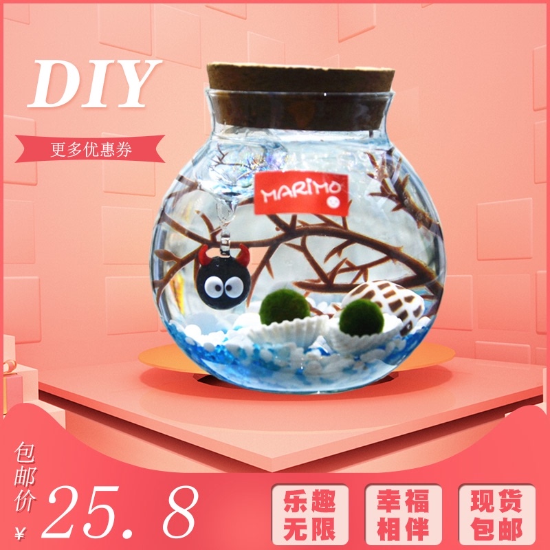 marimo幸福海藻球微景观生态瓶水培迷你小植物创意DIY礼物玻璃瓶