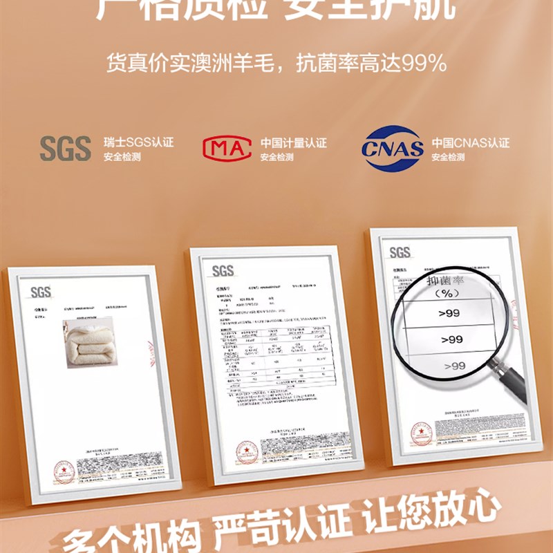 澳洲羊毛床垫软垫家用卧室床褥垫加厚毯子冬季冬天羊羔绒垫被褥子