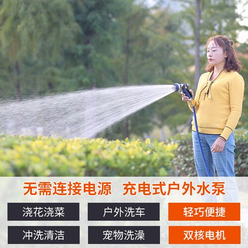 充电式抽水泵浇水神器农用浇地浇花灌溉浇菜家用洗车田园浇水机