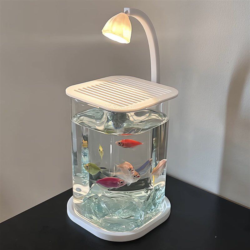MOMO HOME家居桌面鱼缸小型懒人玻璃造景客厅餐桌斗鱼专用小鱼缸