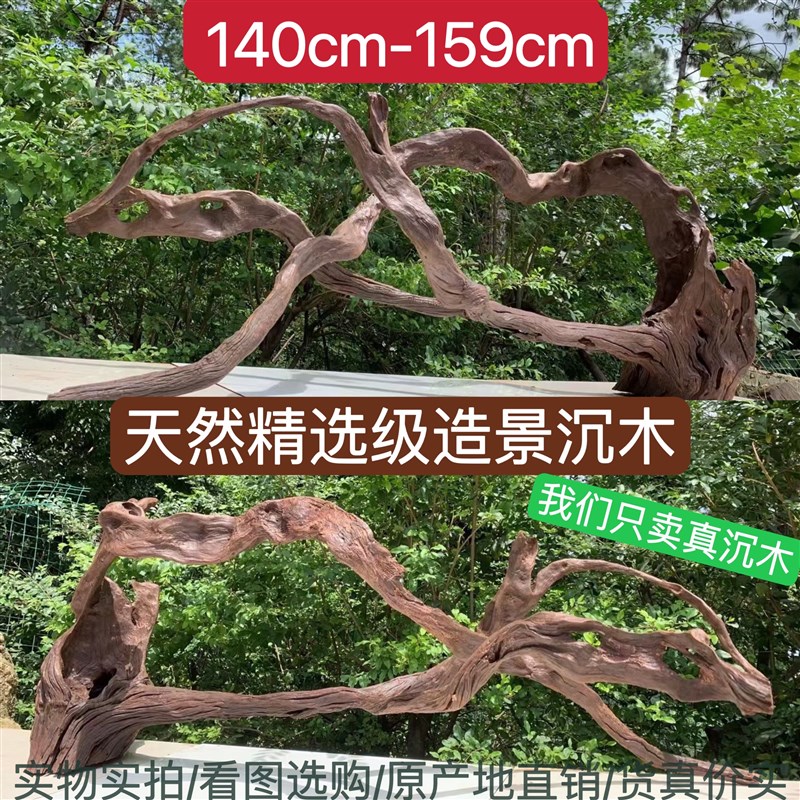 150cm-159cm精品大型沉木造景枝条树桩龟晒台紫柚木树洞拱桥摆件