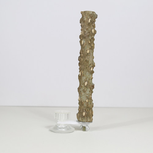 鹦鹉花椒木吸盘站架子站杠站棍磨爪玄凤虎皮专用鸟用墙面玻璃站台