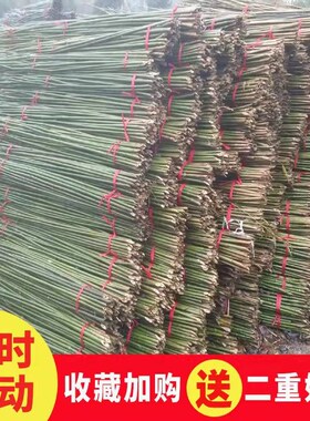 竹竿子园艺支架豆角黄瓜支撑杆花架植物园番茄固定爬藤架菜园搭架