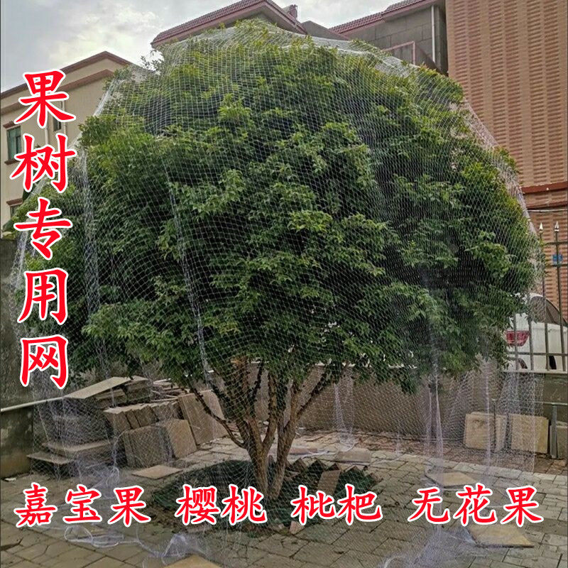 果树专业防鸟网罩枇杷樱桃嘉宝果树无花果树家用尼龙线防鸟用的网图片