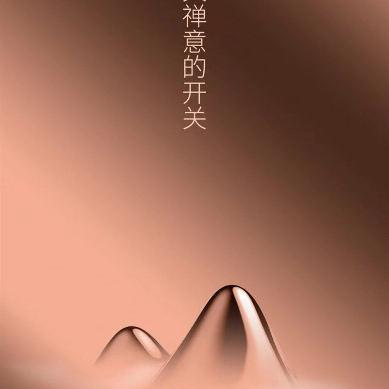 三界S5-A观山电陶炉日式煮茶器家用泡茶壶保温烧水壶白茶黑茶普洱