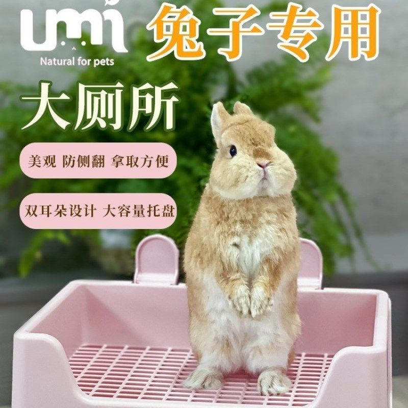 兔兔专用宠物兔子厕所大号屎盆兔子防掀翻托盘式豚鼠便盆用品大码