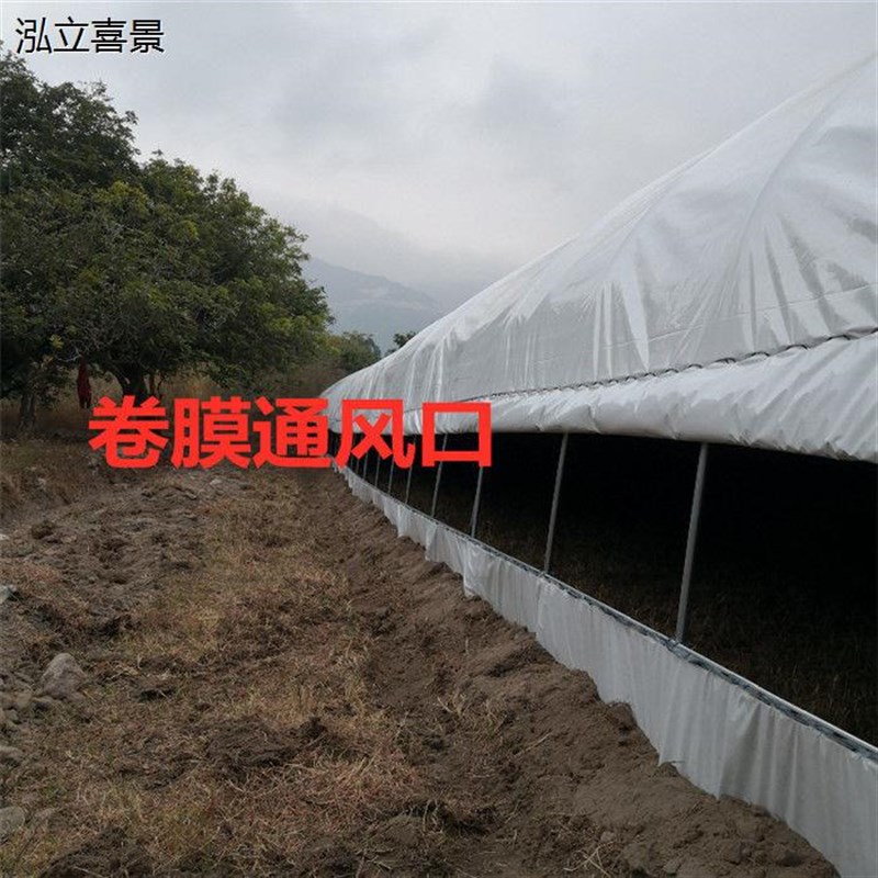 温室蔬菜大棚钢管骨架家用户外种植支架拱杆冷棚骨架养殖大棚全套