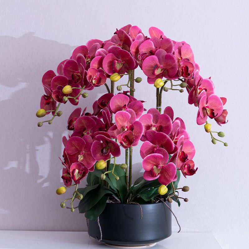 轻奢大蝴蝶兰仿真花套装摆件绢花客厅餐桌假花盆栽装饰餐桌花摆设