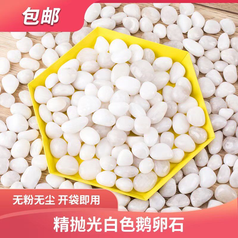 白色抛光鹅卵石雨花石庭院阳台铺路铺地大小鹅软石鱼缸造景白石头