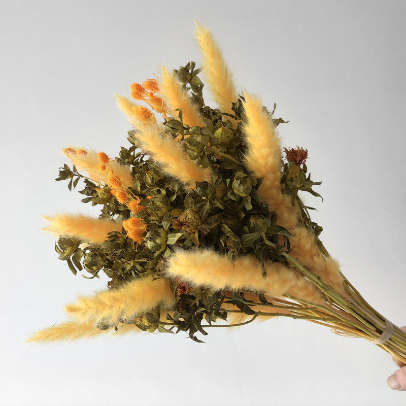 干花插花花束花卉云南基地直发满天星勿忘我麦穗小芦苇居家花艺
