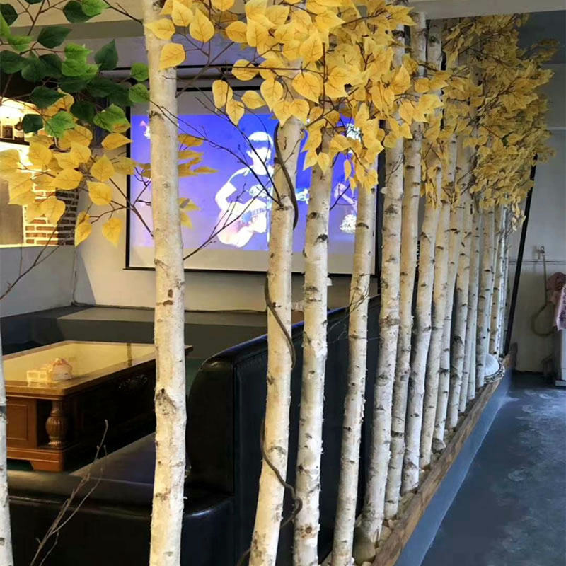 网红拍照场景布置天然白桦树树杆原木风装饰圆木婚庆橱窗隔断造景