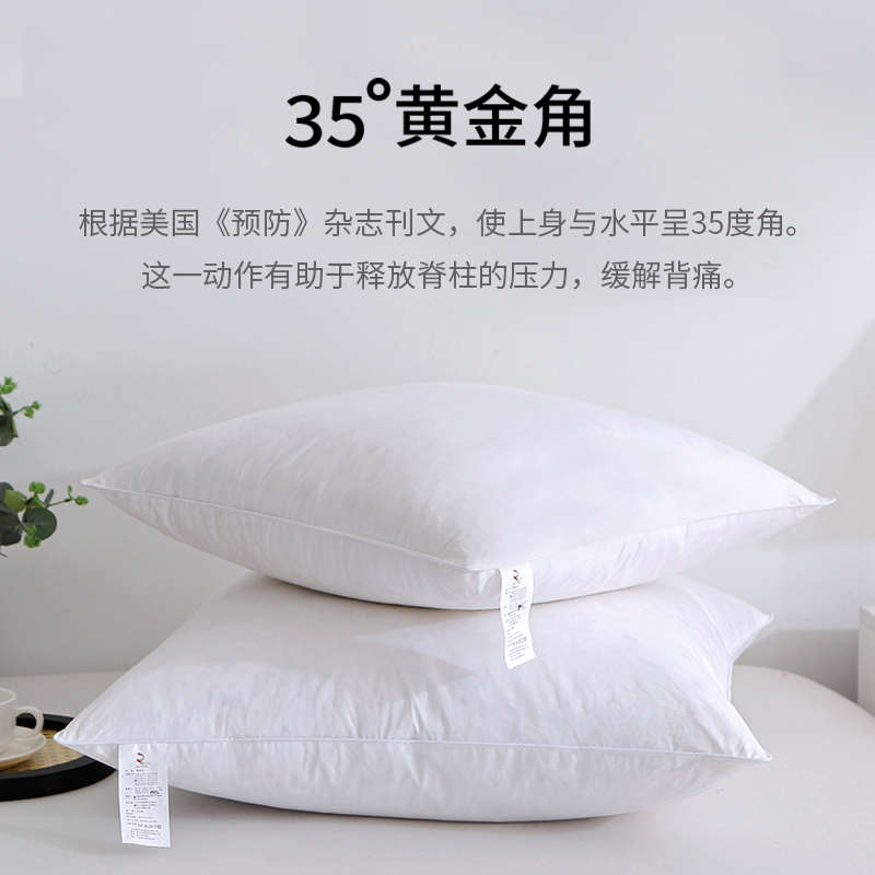 翼然家纺羽绒抱枕芯内胆鹅毛沙发靠垫芯羽毛靠枕芯定制酒店枕芯