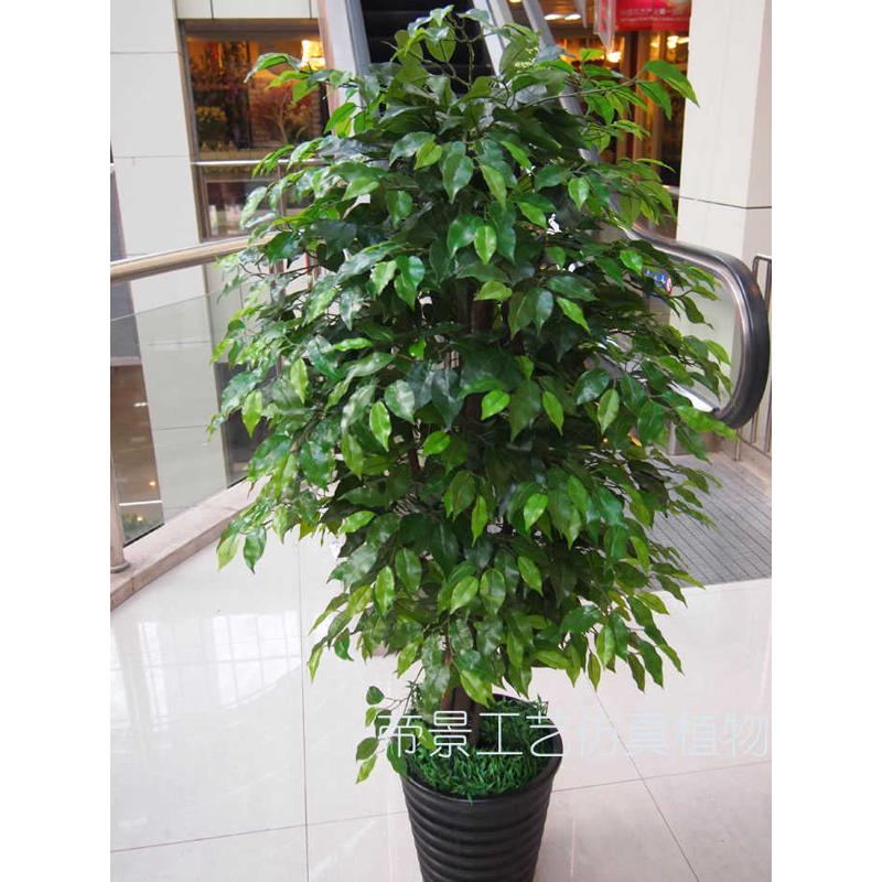 帝景工艺仿真植物仿真树假树客厅办公 5杆2米榕树装饰绿植花艺花