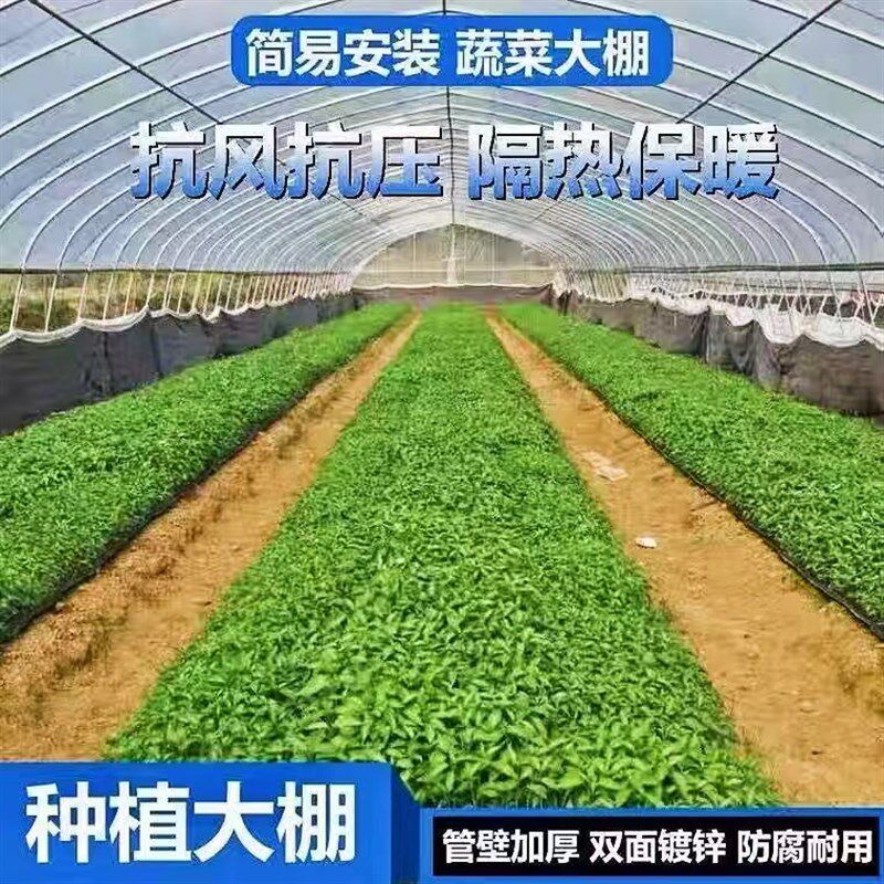 大棚骨架钢管温室定制养殖大棚蔬菜大棚连体连栋种植棚热度锌全套