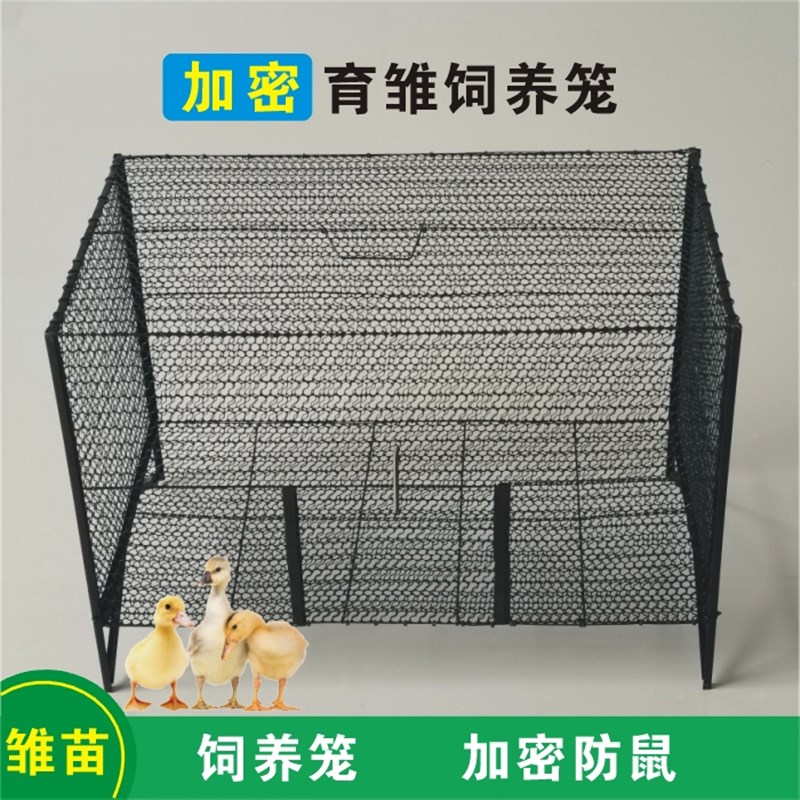 鸡笼小鸡小鸭笼子育雏笼家用加密防鼠鸽子笼关宠物养小鹅鹌鹑鸟笼