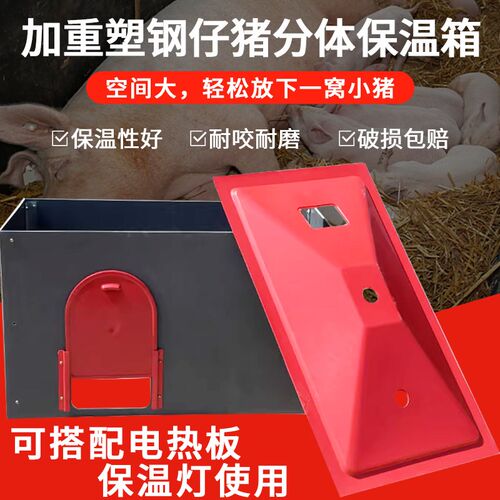 小猪仔猪塑钢保温箱小猪保暖箱母猪用产床电热板取暖箱猪养殖设备