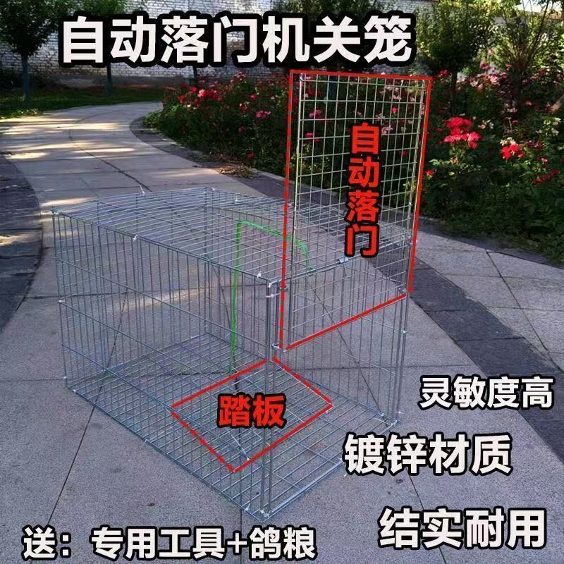 自动天落笼只进不出滑落鸽子笼野外户外养殖笼镀锌防锈机关收纳笼