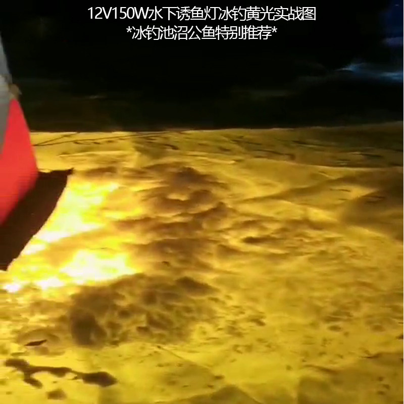 池沼公鱼水下诱鱼灯集鱼灯12v24v220vled水下灯防水底灯冰钓鱼灯