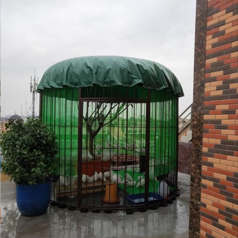 户外金属铁艺鹦鹉鸟笼超特大型号空间别墅装饰室外养鸡鸽孔雀笼子