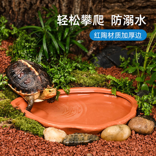 黄缘龟泡澡盆陶瓷水盆安缘半水龟专用喝接水盘乌龟缸造景饲养箱用