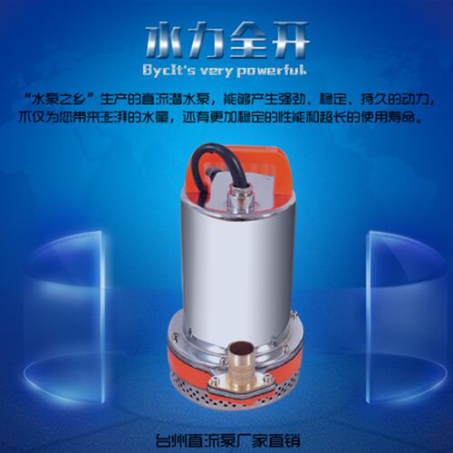 充电泵直流泵电瓶泵12V24V48V600V72V高扬程潜水泵电动车抽水泵
